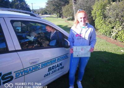Brians Dynamic Driving School